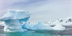 Antarctica